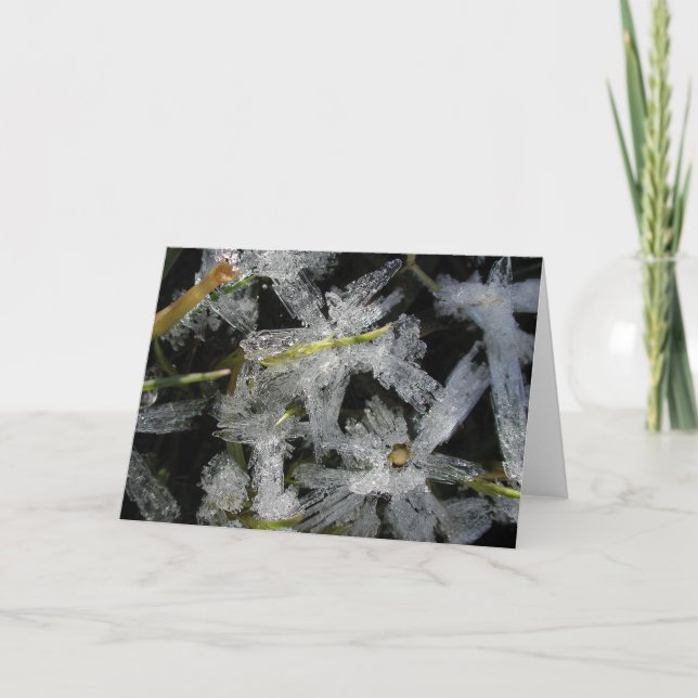 Ice flowers card (Front)