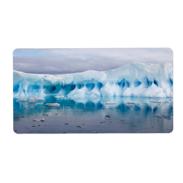 Ice in Antarctica Label (Front)