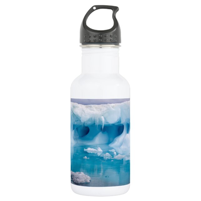 Ice in Antarctica Stainless Steel Water Bottle (Front)