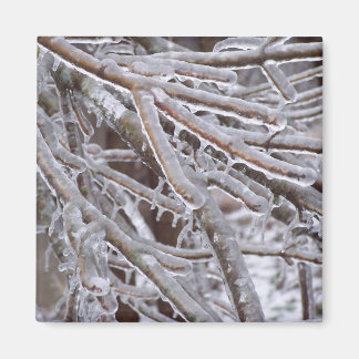 Ice Magnet