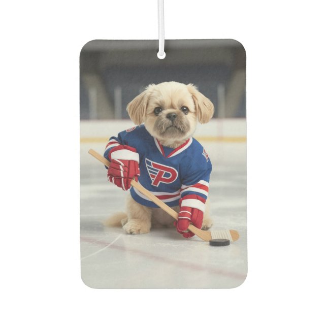 Ice & Nice Air Freshener (Front)