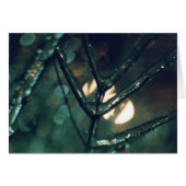 Ice, Night, Light (Front Horizontal)