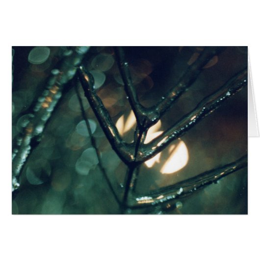 Ice, Night, Light (Front Horizontal)