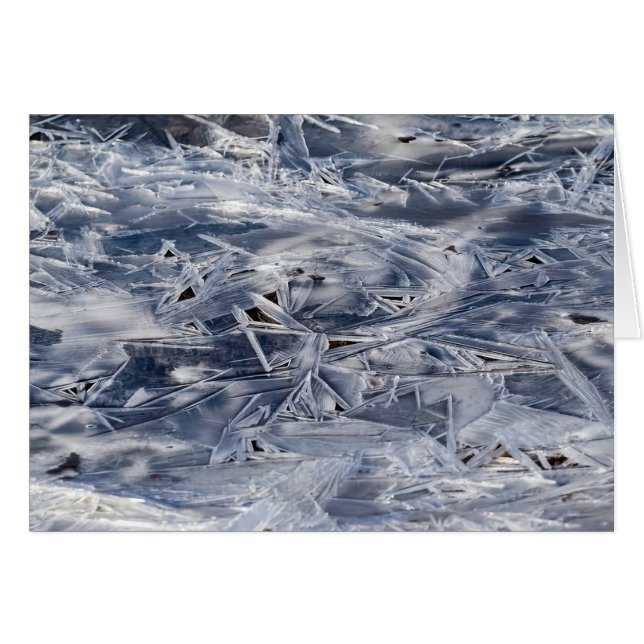  Ice Not ICE Cards (Front Horizontal)