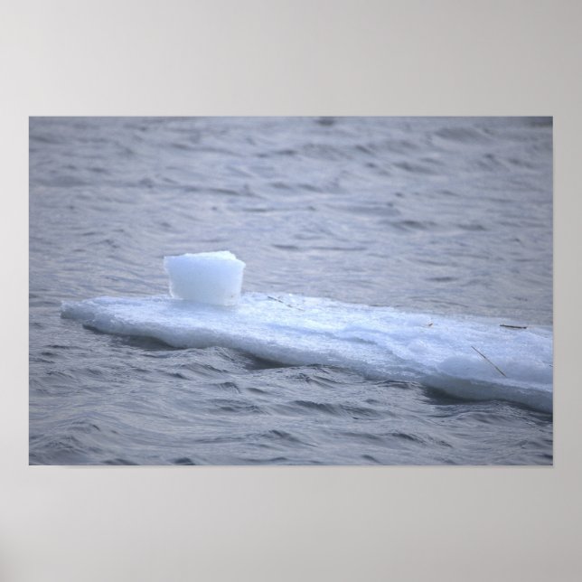 Ice on the Ocean Poster (Front)