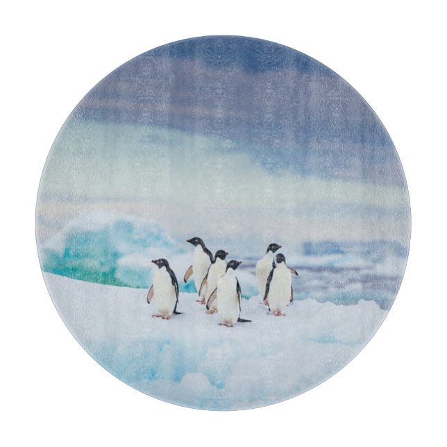 Ice & Snow | Adelie Penguins Antarctica Cutting Board (Front)