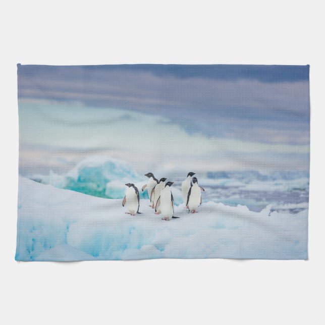 Ice & Snow | Adelie Penguins Antarctica Kitchen Towel (Horizontal)