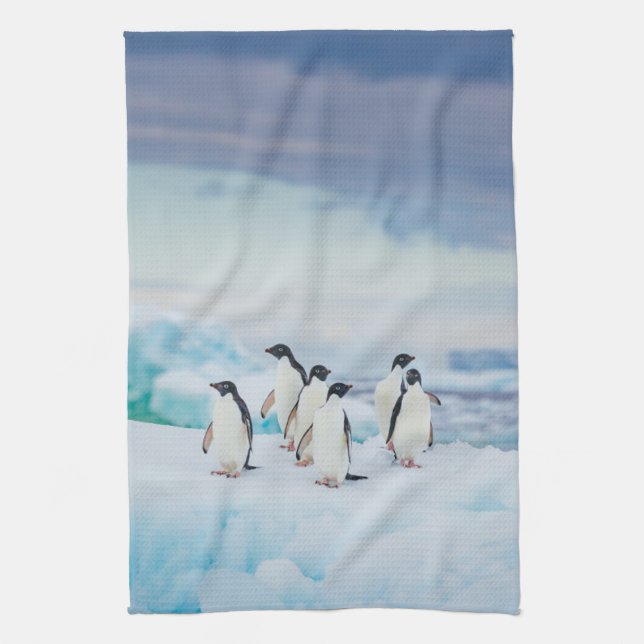 Ice & Snow | Adelie Penguins Antarctica Kitchen Towel (Vertical)