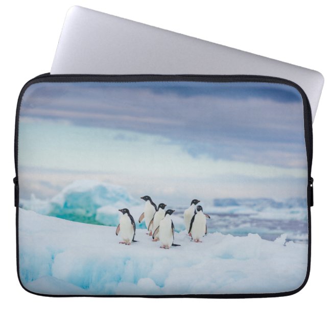 Ice & Snow | Adelie Penguins Antarctica Laptop Sleeve (Front)