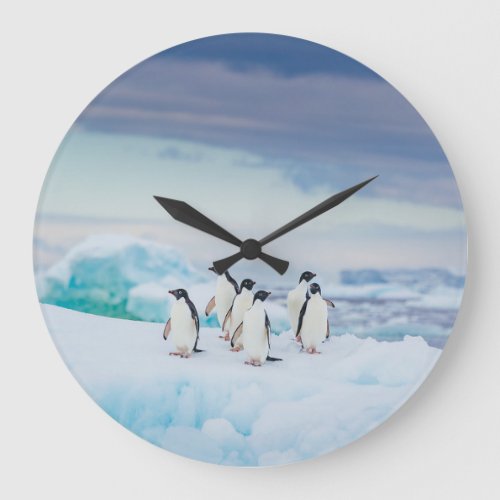 Ice  Snow  Adelie Penguins Antarctica Large Clock