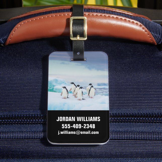 Ice & Snow | Adelie Penguins Antarctica Luggage Tag (Front Insitu 2)