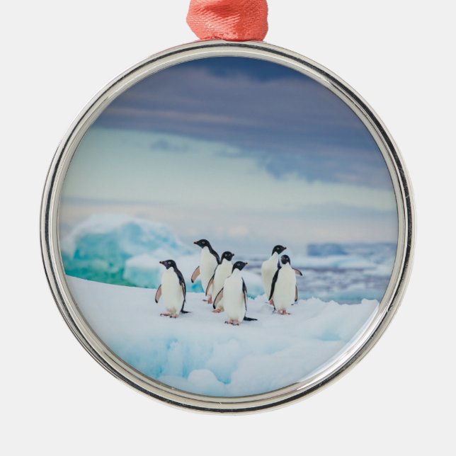 Ice & Snow | Adelie Penguins Antarctica Metal Ornament (Front)