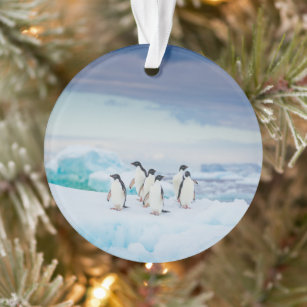 Ice & Snow   Adelie Penguins Antarctica Ornament