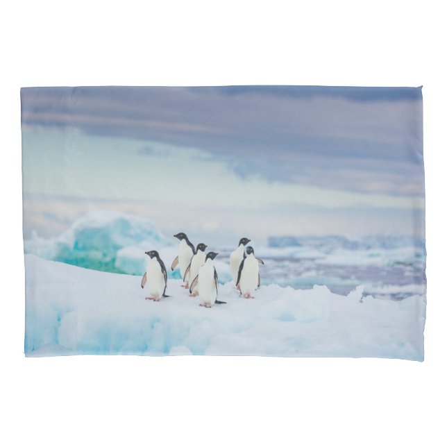 Ice & Snow | Adelie Penguins Antarctica Pillow Case (Front)