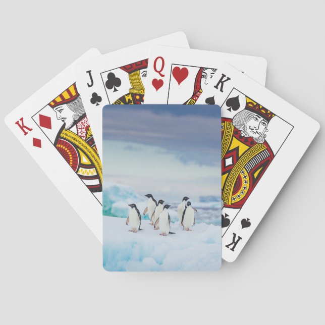 Ice & Snow | Adelie Penguins Antarctica Poker Cards (Back)