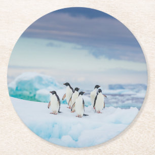 Ice & Snow Adelie Penguins Antarctica Round Paper Coaster