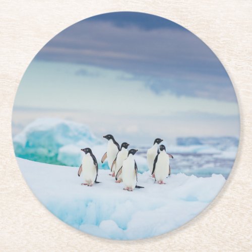 Ice  Snow  Adelie Penguins Antarctica Round Paper Coaster