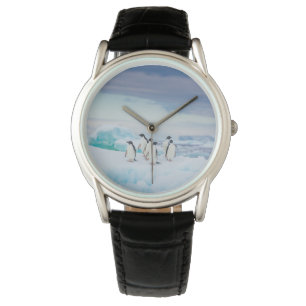 Ice & Snow Adelie Penguins Antarctica Watch