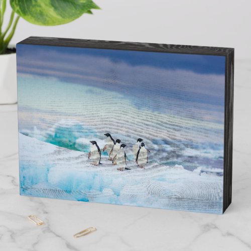 Ice  Snow  Adelie Penguins Antarctica Wooden Box Sign