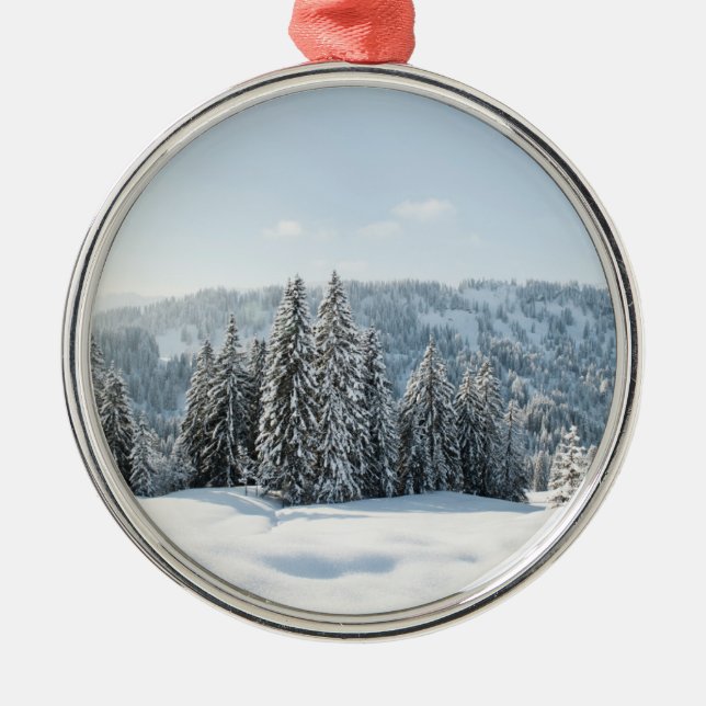Ice & Snow | Allgäu Bavaria Germany Metal Ornament (Front)