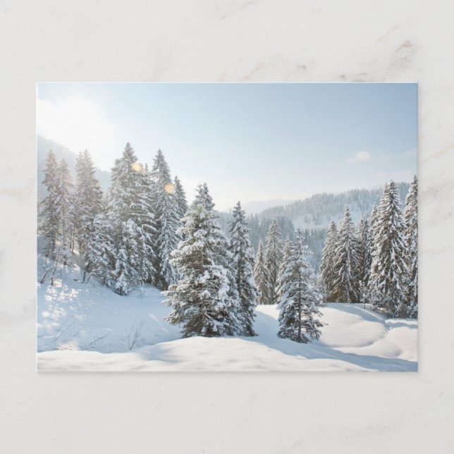 Ice & Snow | Allgäu Bavaria Southern Germany Postcard (Front)