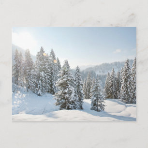 Ice & Snow Allgäu Bavaria Southern Germany Postcard