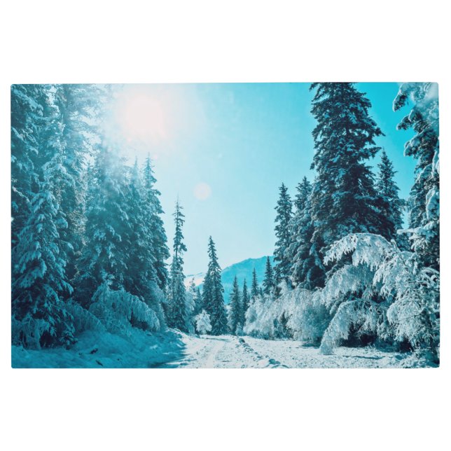 Ice & Snow | Altai Nature Reserve, Russia Metal Print (Front)