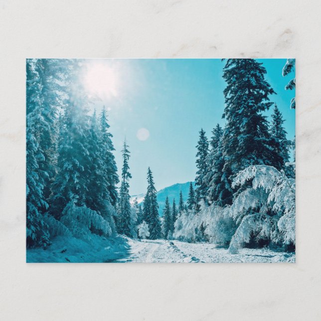 Ice & Snow | Altai Nature Reserve, Russia Postcard (Front)