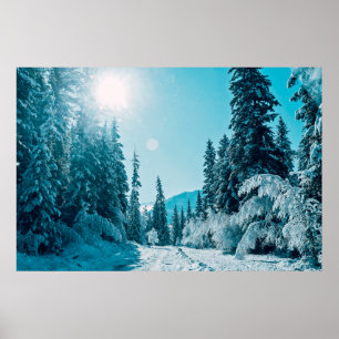 Ice & Snow Altai Nature Reserve, Russia Poster