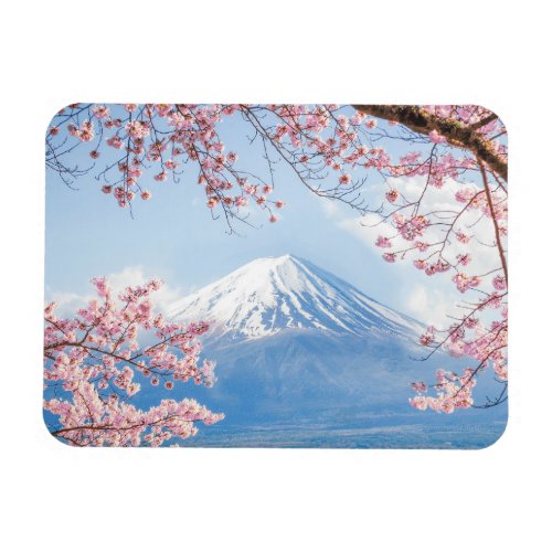 Ice  Snow  Cherry Blossoms Mt Fuji Japan Magnet