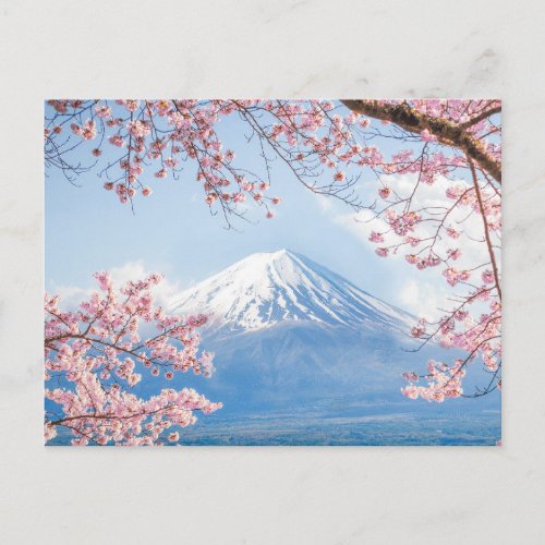 Ice  Snow  Cherry Blossoms Mt Fuji Japan Postcard