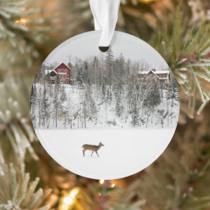 Ice & Snow   Deer in Snow Quebec, Canada Ornament