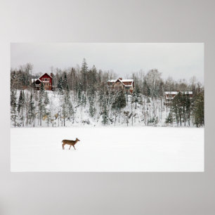 Ice & Snow Deer in Snow Quebec, Canada Poster