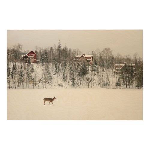 Ice  Snow  Deer in Snow Quebec Canada Wood Wall Art