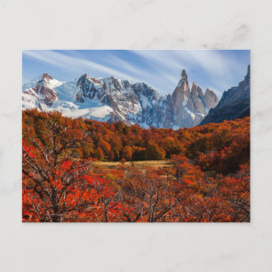 Ice & Snow El Chalten, Argentina Patagonia Postcard