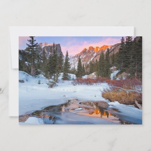 Ice  Snow  Estes Park Colorado Thank You Card