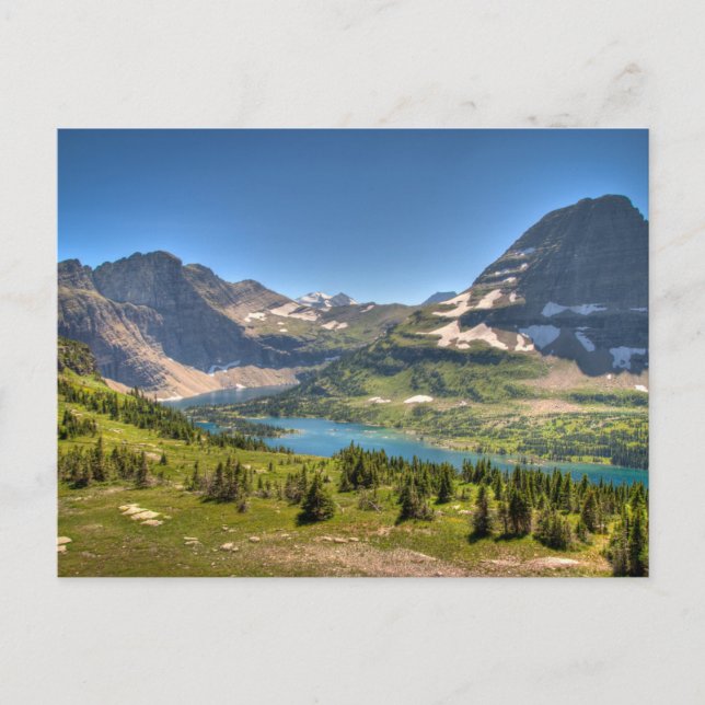 Ice & Snow | Glacier National Park, Montana Postcard (Front)