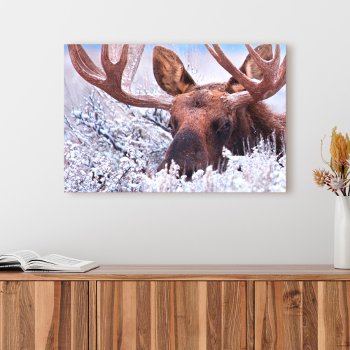 Ice & Snow | Grand Teton National Park  Wyoming Canvas Print by intothewild at Zazzle