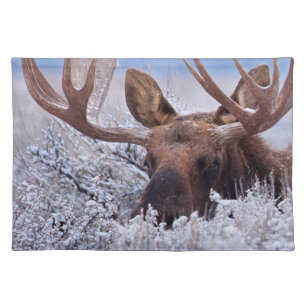 Ice & Snow Grand Teton National Park, Wyoming Cloth Placemat