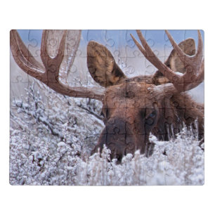 Ice & Snow   Grand Teton National Park, Wyoming Jigsaw Puzzle
