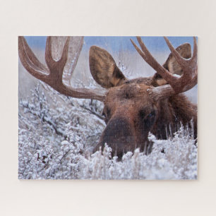 Ice & Snow   Grand Teton National Park, Wyoming Jigsaw Puzzle