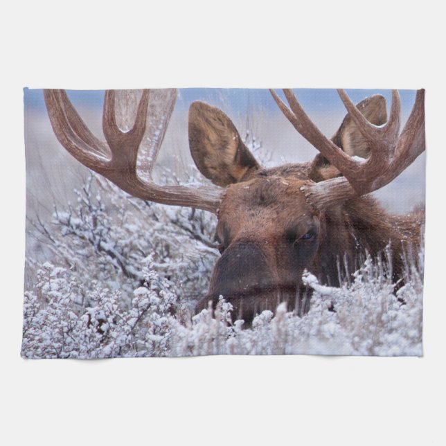 Ice & Snow | Grand Teton National Park, Wyoming Kitchen Towel (Horizontal)
