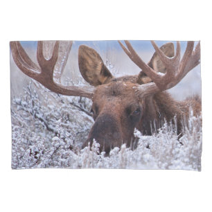 Ice & Snow Grand Teton National Park, Wyoming Pillow Case