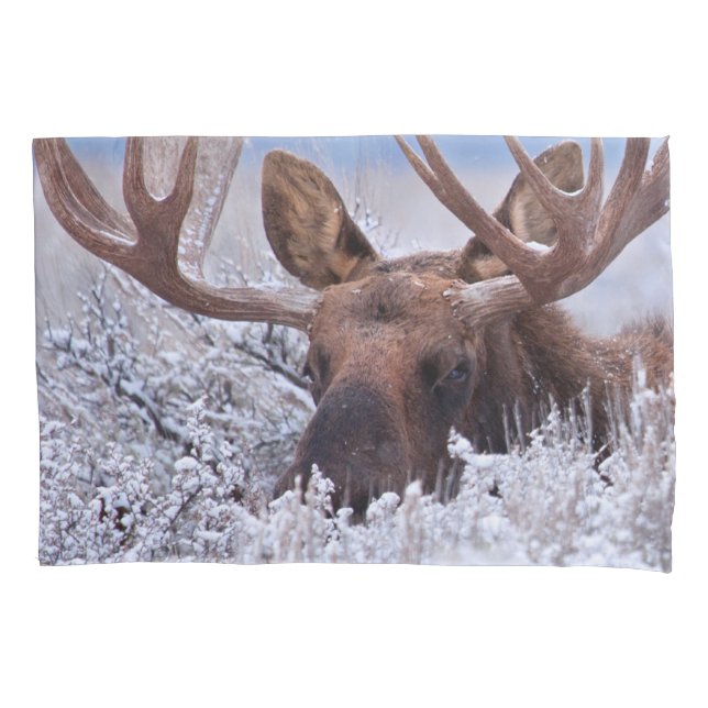 Ice & Snow | Grand Teton National Park, Wyoming Pillow Case (Front)