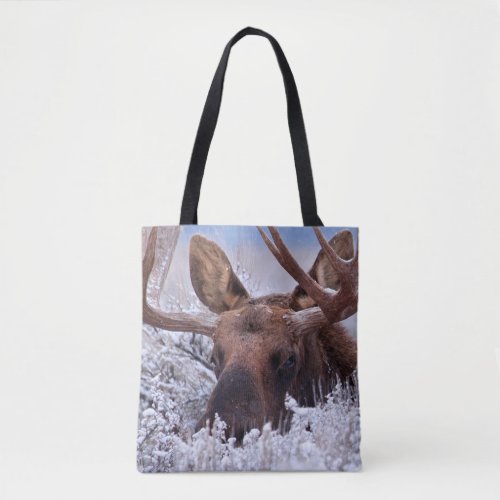 Ice  Snow  Grand Teton National Park Wyoming Tote Bag