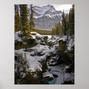 Ice & Snow Jasper National Park Alberta, Canada Poster