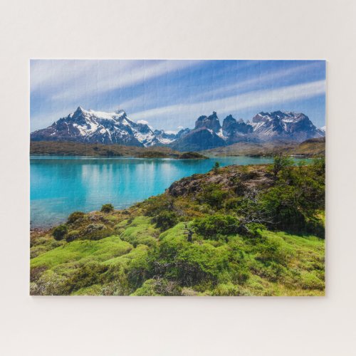 Ice  Snow  Lake Pehoe Patagonia Chile Jigsaw Puzzle