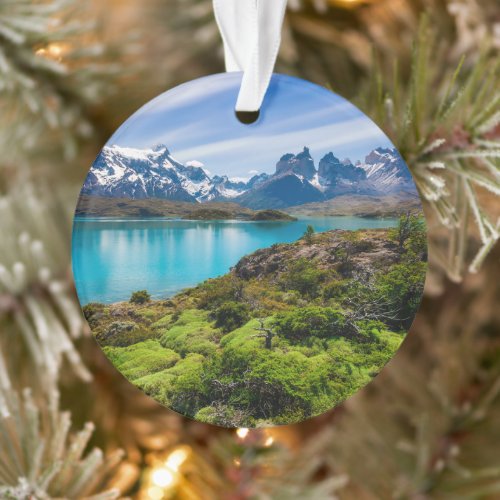 Ice  Snow  Lake Pehoe Patagonia Chile Ornament