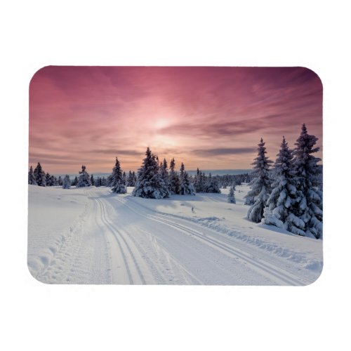 Ice  Snow  Lillehammer Norway Magnet