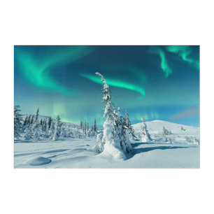 Ice & Snow Northern Lights, Lapland, Finland Acrylic Print